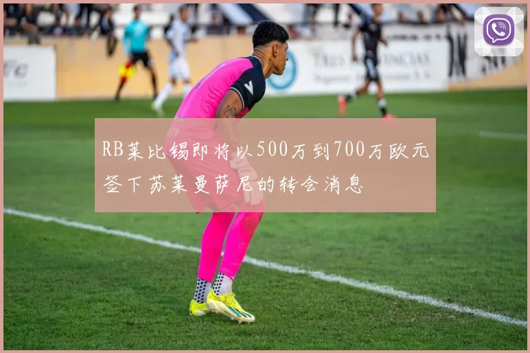 RB莱比锡即将以500万到700万欧元签下苏莱曼萨尼的转会消息